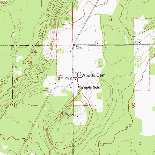 Topographic Map of Woods Cemetery, MI