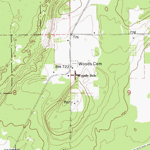 Topographic Map of Woods School, MI