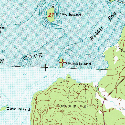 Topographic Map of Young Island, MI