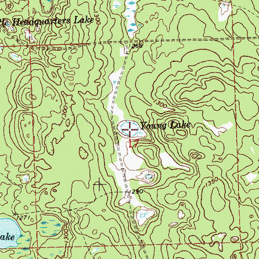 Topographic Map of Young Lake, MI