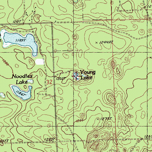 Topographic Map of Young Lake, MI