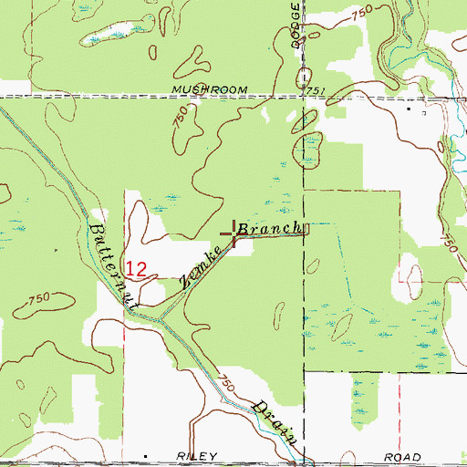 Topographic Map of Zemke Branch, MI