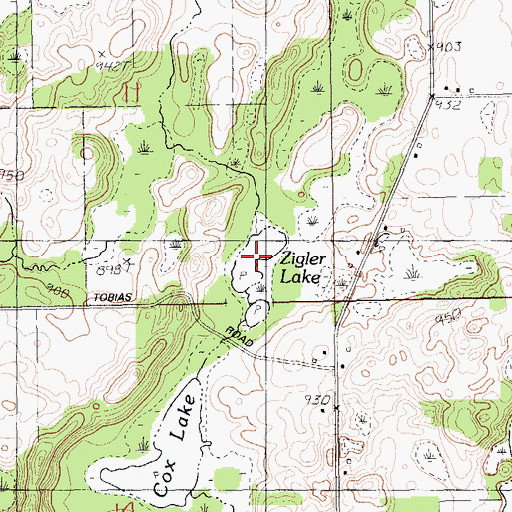 Topographic Map of Zigler Lake, MI
