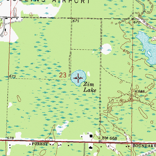 Topographic Map of Zim Lake, MI