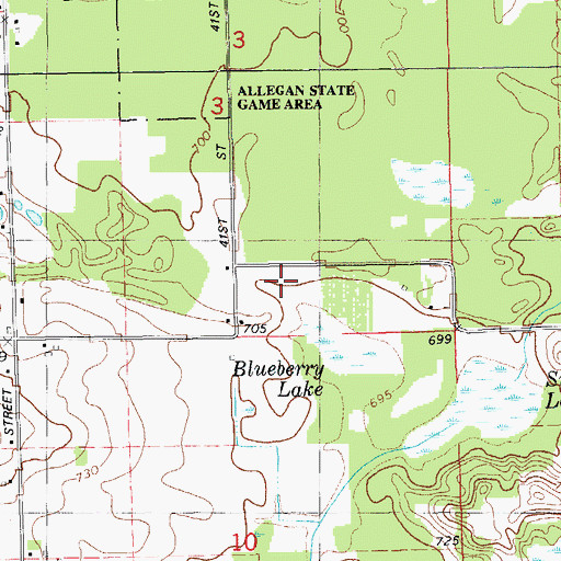 Topographic Map of Blueberry Lake, MI