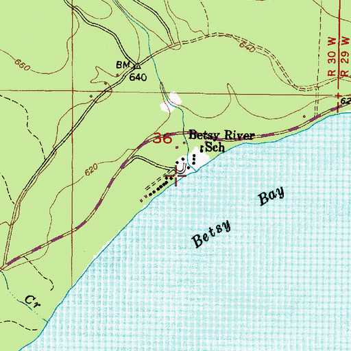 Topographic Map of Betsy, MI