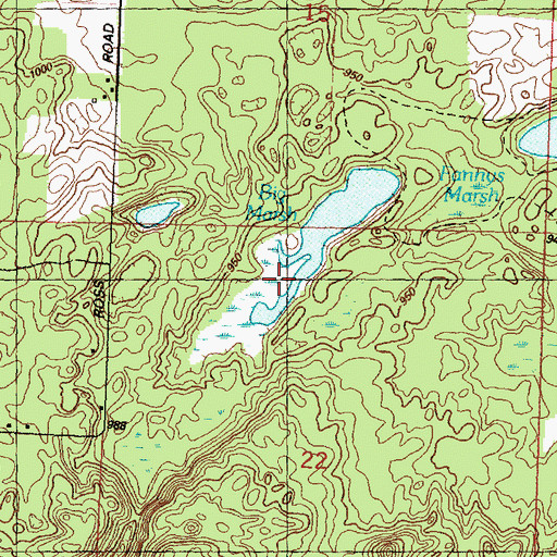 Topographic Map of Big Marsh, MI