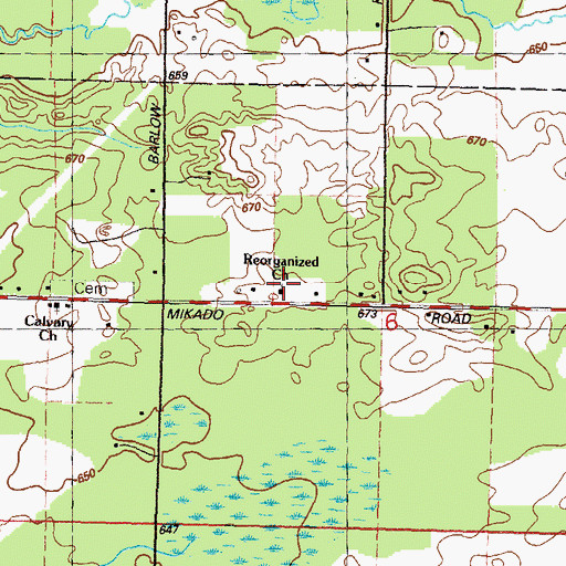 Topographic Map of Reorganized Church, MI