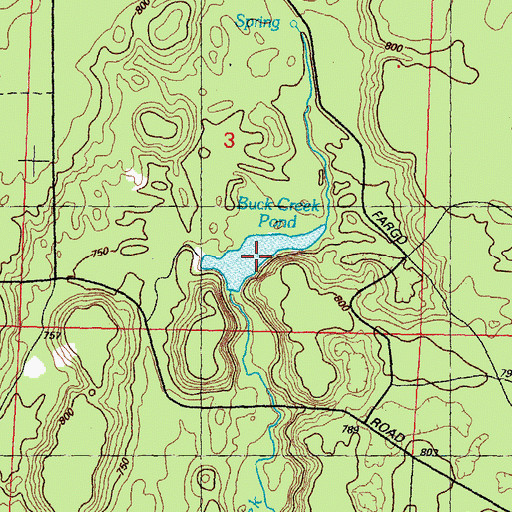 Topographic Map of Buck Creek Pond, MI