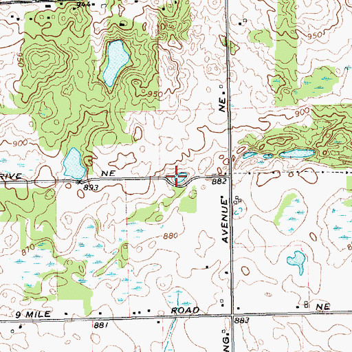 Topographic Map of Carlton Lake, MI