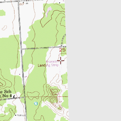 Topographic Map of Franklin's Airport, MI