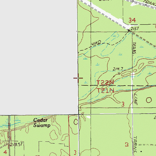 Topographic Map of Cedar Swamp, MI