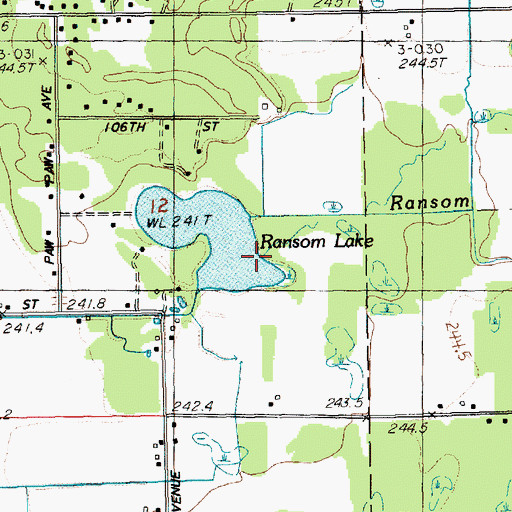 Topographic Map of Ransom Creek, MI