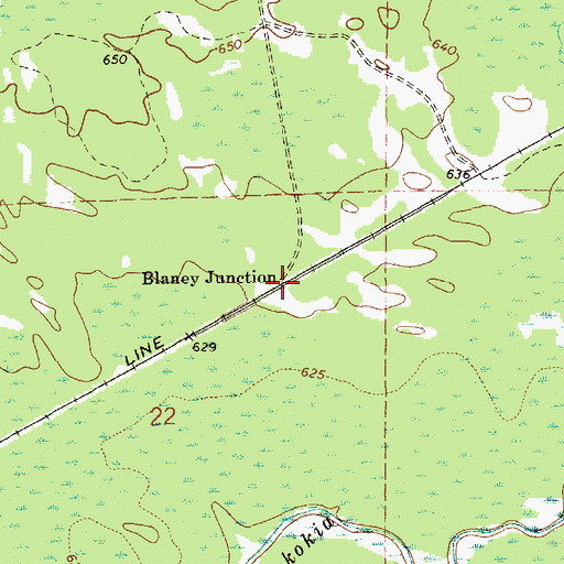 Topographic Map of Blaney Junction, MI
