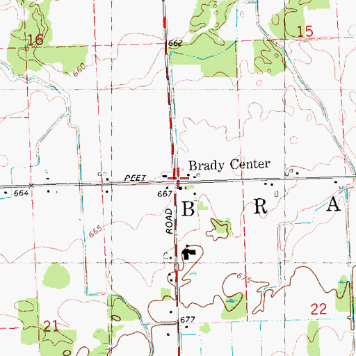 Topographic Map of Brady Center, MI
