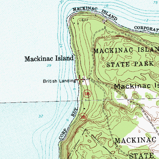 Topographic Map of British Landing, MI
