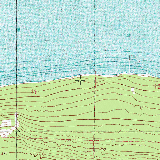 Topographic Map of Carp Lake Landing, MI