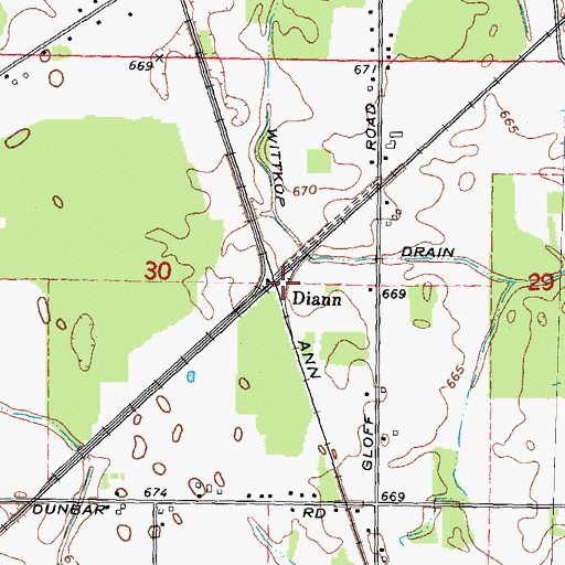 Topographic Map of Diann, MI