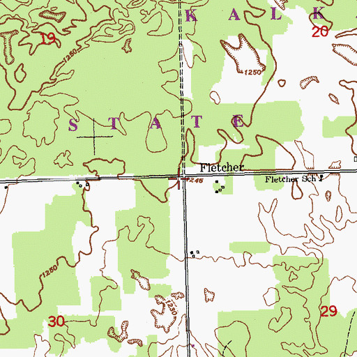 Topographic Map of Fletcher, MI
