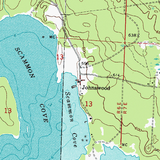 Topographic Map of Johnswood, MI