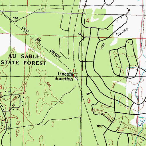 Topographic Map of Lincoln Junction, MI