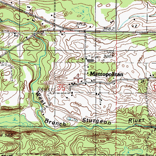 Topographic Map of Metropolitan, MI