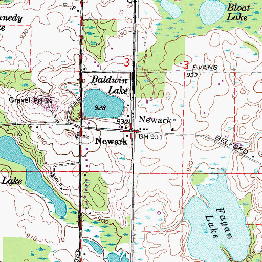 Topographic Map of Newark, MI