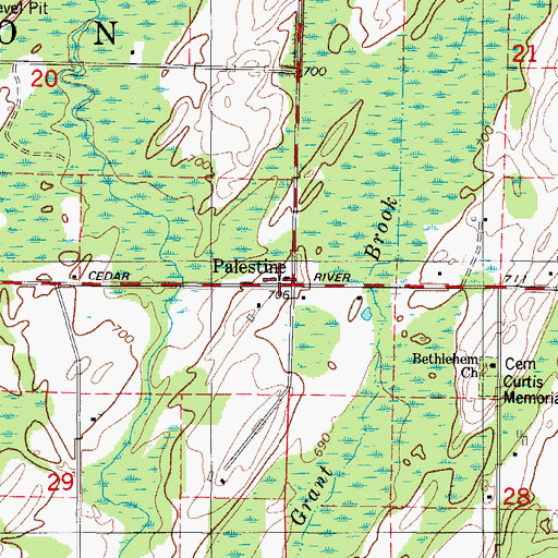 Topographic Map of Palestine, MI