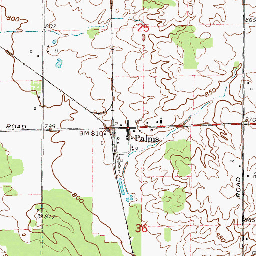Topographic Map of Palms, MI