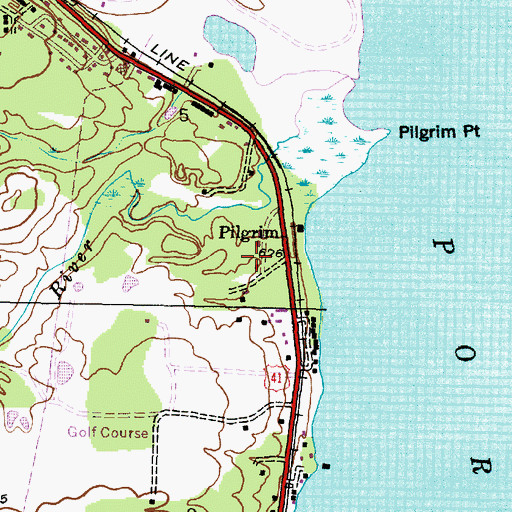 Topographic Map of Pilgrim, MI