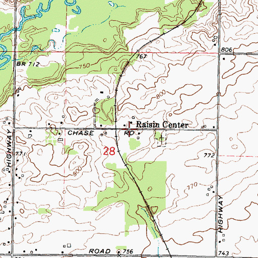 Topographic Map of Raisin Center, MI