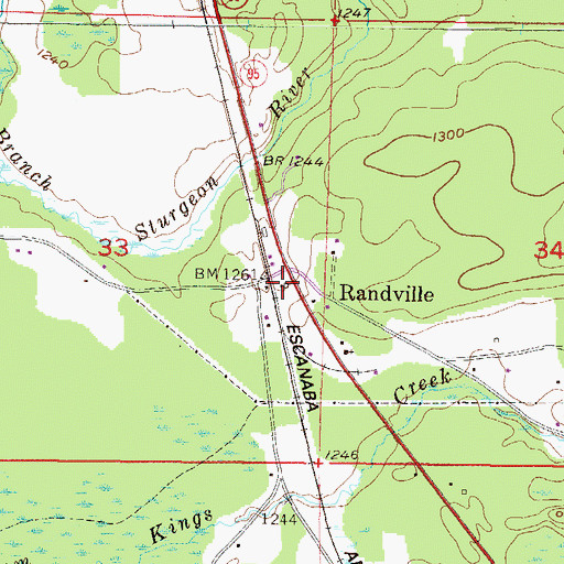 Topographic Map of Randville, MI