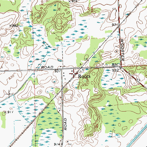 Topographic Map of Roots, MI