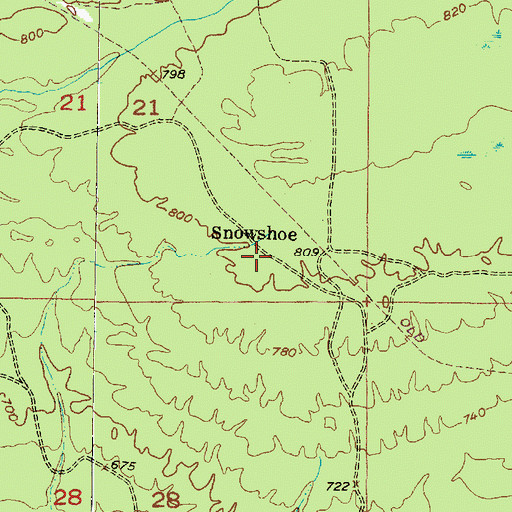 Topographic Map of Snowshoe, MI