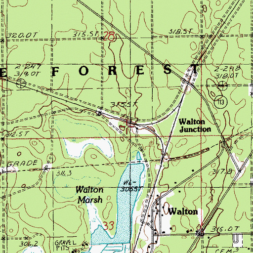 Topographic Map of Walton Junction, MI