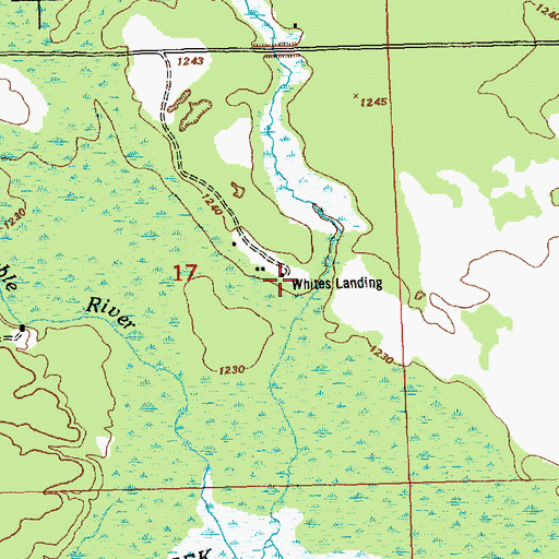 Topographic Map of Whites Landing, MI