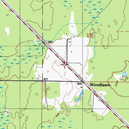 Topographic Map of Woodlawn, MI