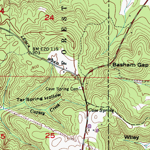 Topographic Map of Cave Springs (historical), AL