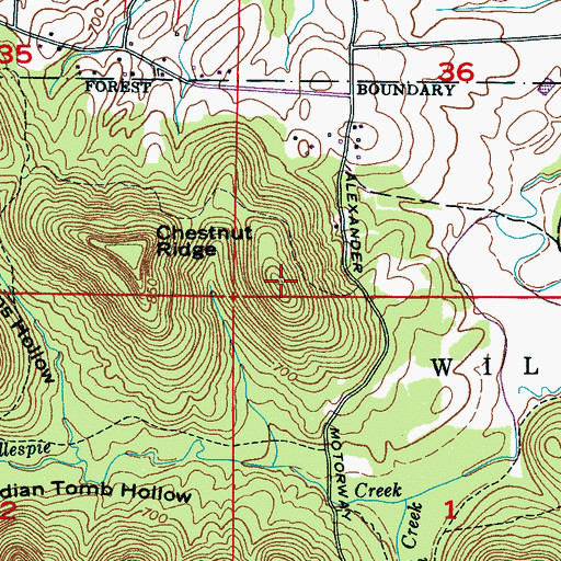Topographic Map of Cedar Mountain, AL