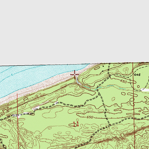 Topographic Map of Carp River, MI