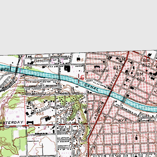 Topographic Map of Edison Sault Electric Company Canal, MI