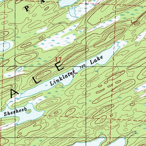Topographic Map of Linklater Lake, MI