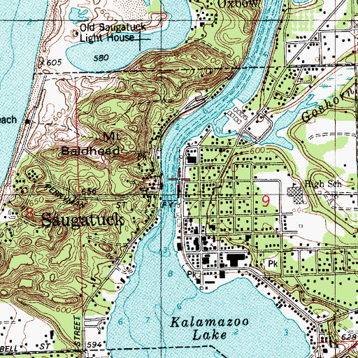 Topographic Map of Gleasons Marina, MI