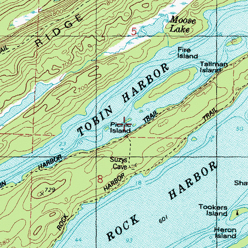 Topographic Map of Picnic Island, MI