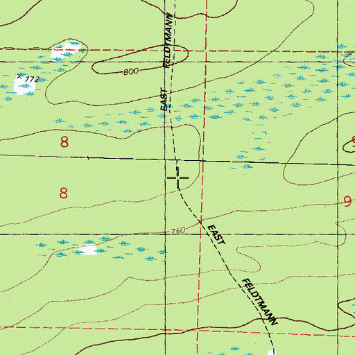 Topographic Map of East Feldtmann Trail, MI