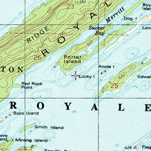 Topographic Map of Lucky Island, MI