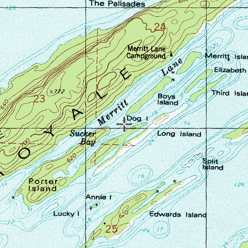 Topographic Map of Dog Island, MI