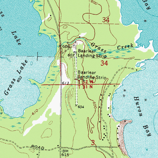 Topographic Map of Baarlear Landing Strip (historical), MI