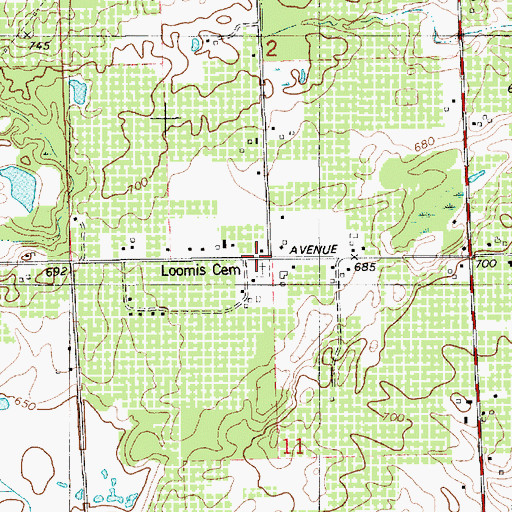 Topographic Map of Loomis Cemetery, MI
