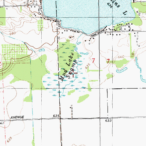 Topographic Map of Mud Lake Swamp, MI